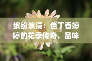 缤纷浪漫：色丁香婷婷的花季传奇，品味其别样鲜艳